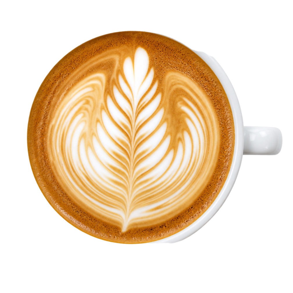 Top-down cappuccino with rosetta latte art